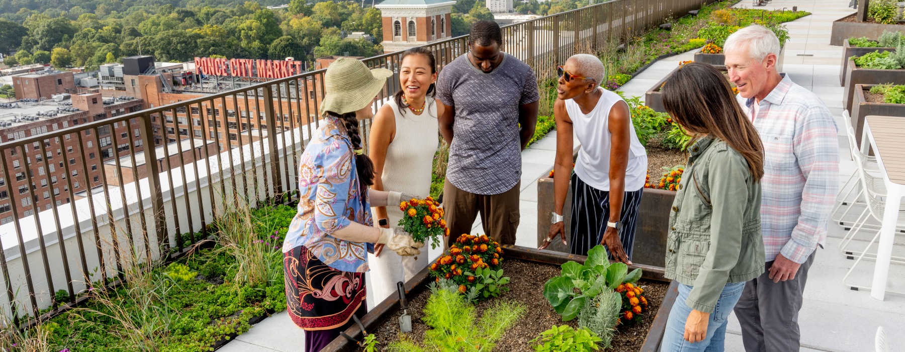Group of residents planting flowers in Signal House's community garden